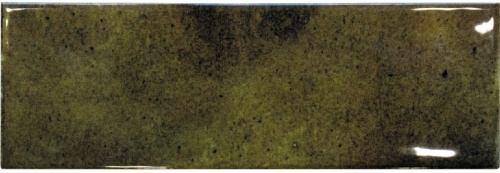  Jazz Olive