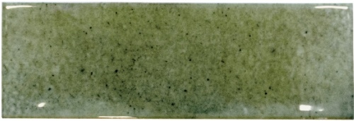  Jazz Mint