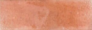  Jazz Coral