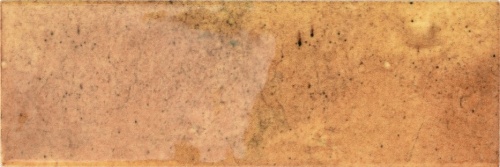  Jazz Mango