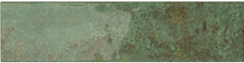  Tropicana Pine