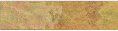  Tropicana Canary