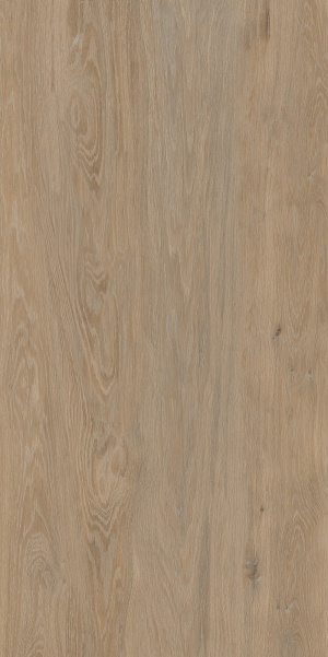  FO0L69M01 Forest Oak