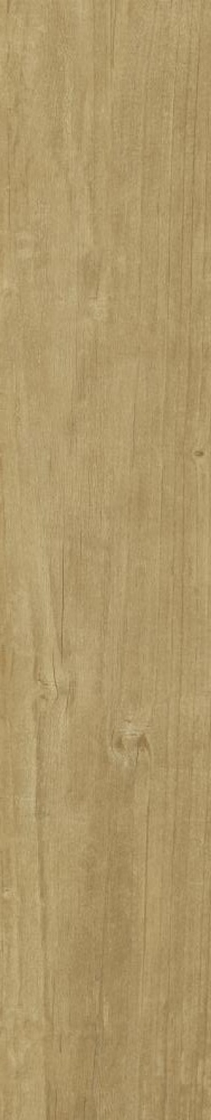  Quercus Miele