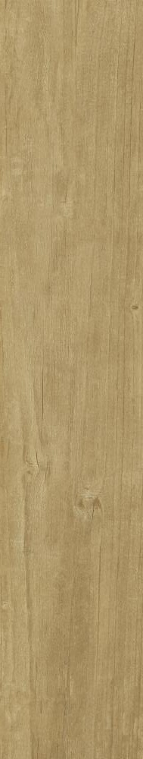  Quercus Miele