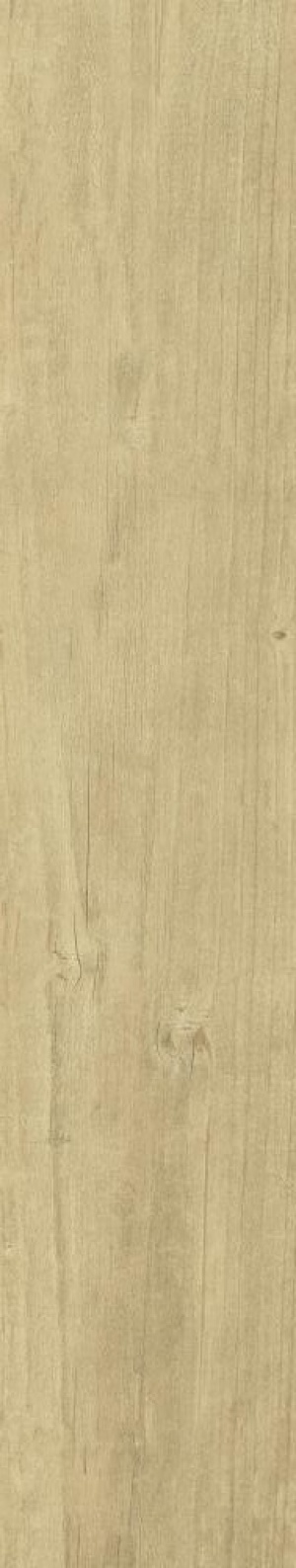  Quercus Naturale
