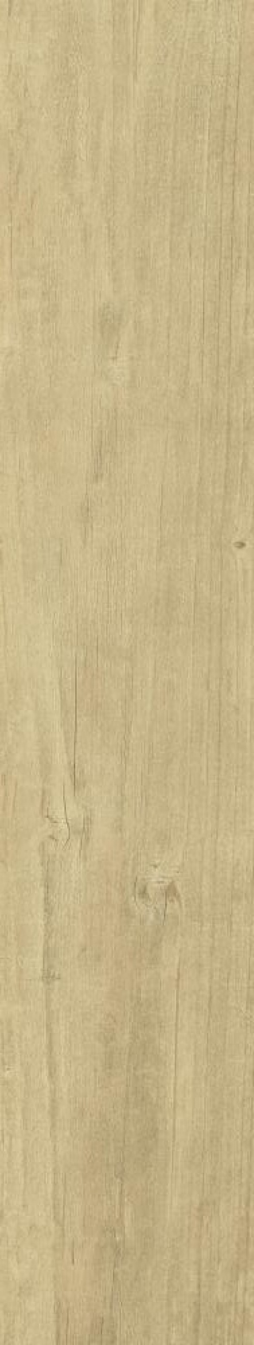  Quercus Naturale
