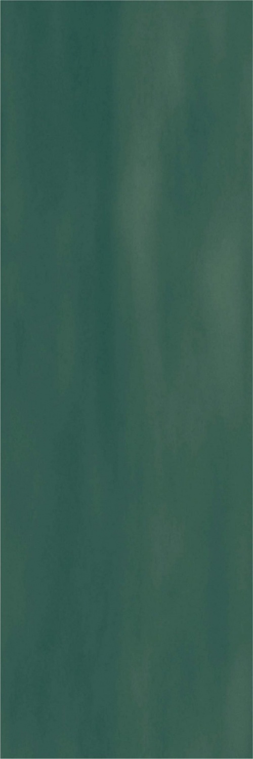  Camelot Fern Matt ENCLR6041MT722