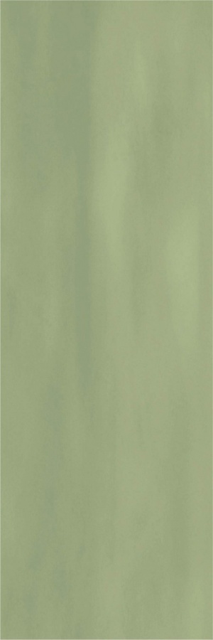  Camelot Olive Matt ENCLR6043MT722