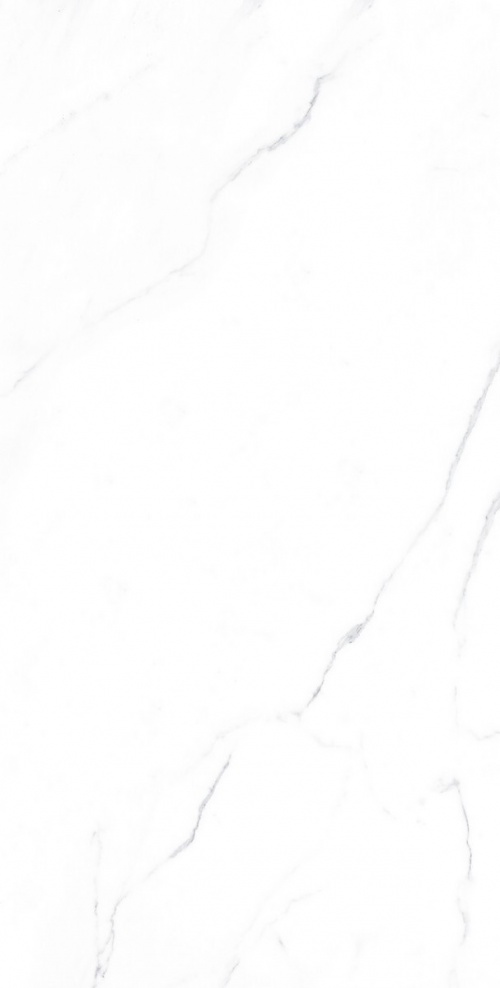  Carrara Bianco Matt ENMAR1005MT60120