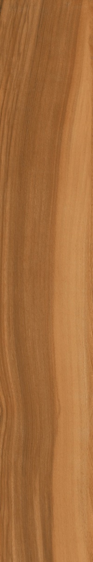  Glacier Intense Carving ENWD4024CR20120