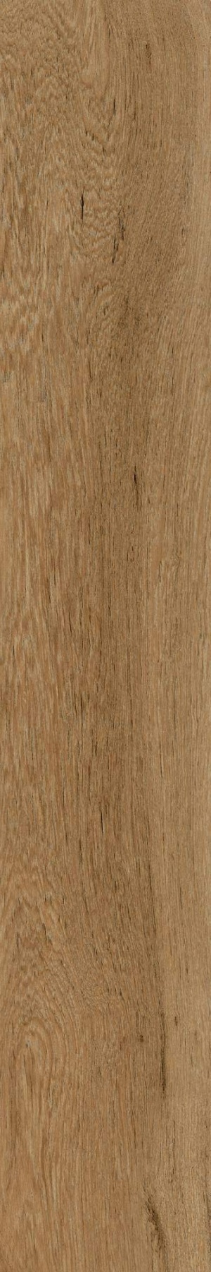  Oakland Ginger Matt+Relief ENWD1054SR20120