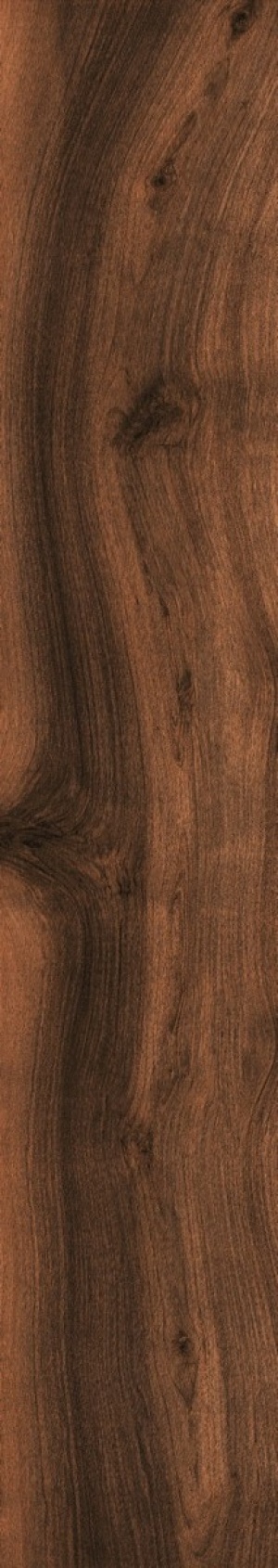  Walnut Tree Matt ENWD1027MT20120