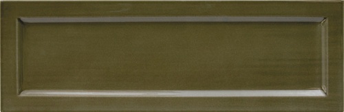  31202 Island Frame Lichen