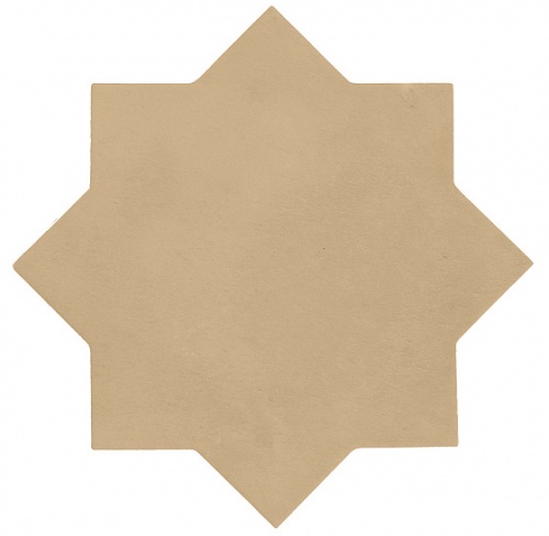  29073 Kasbah Star Fawn