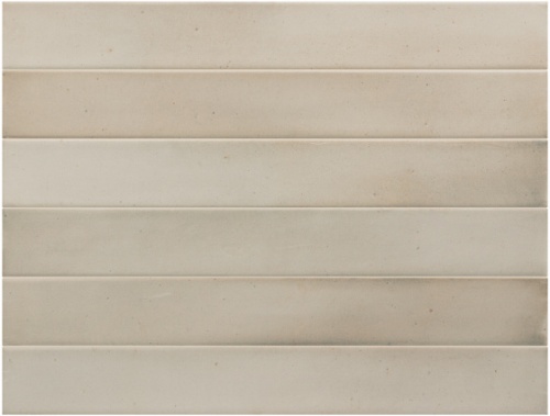  31573 Massimo Siena Earth