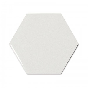  21911 Scale Hexagon White