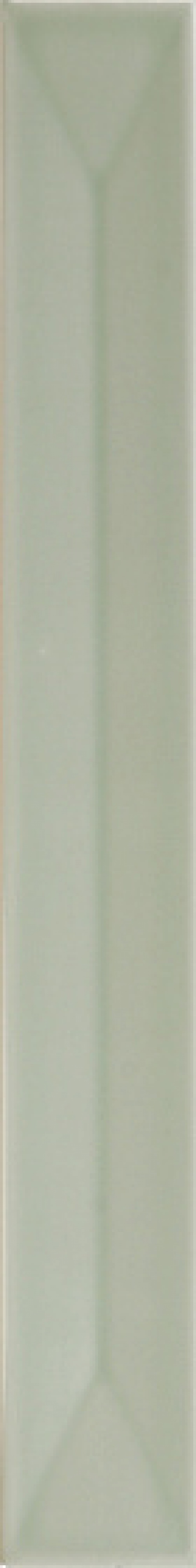  31152 Vitral Axis Mint