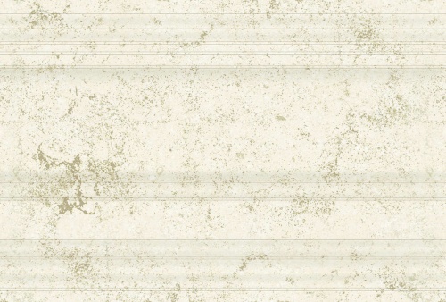  290 Anika Zoc. Natural