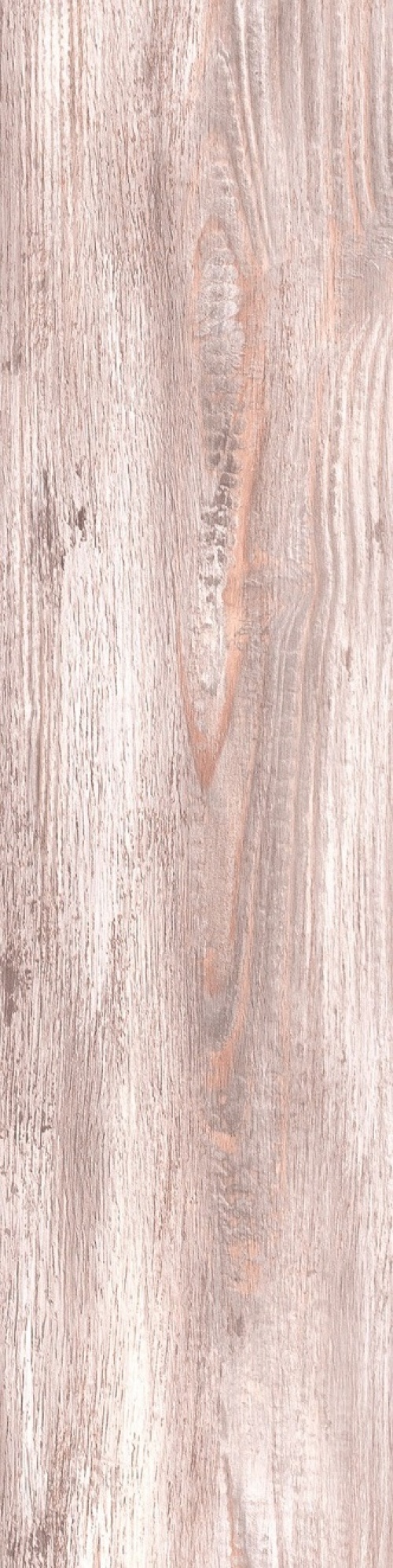 Oak Robusto GP natural