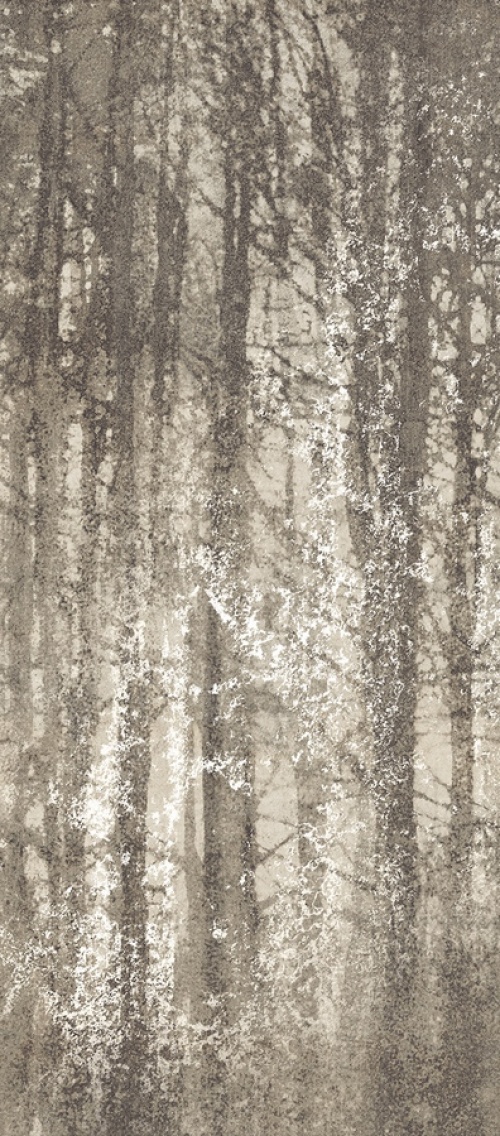  fQWO Ylico Wood Fog