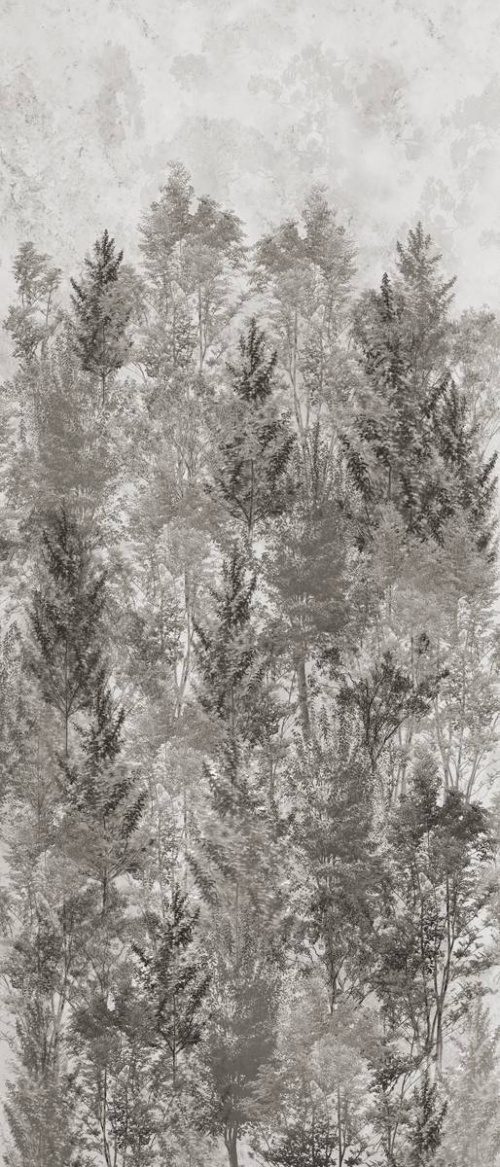  Art Walls Landscape Nat