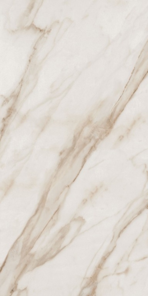  SP6113L Supreme Golden Calac Lux