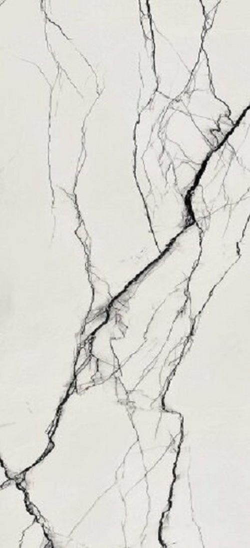  765533 B&W Breach High-Glo Ret