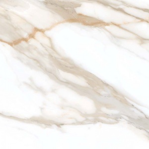  Icaro Gold Compacglass