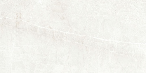  Persa Blanco