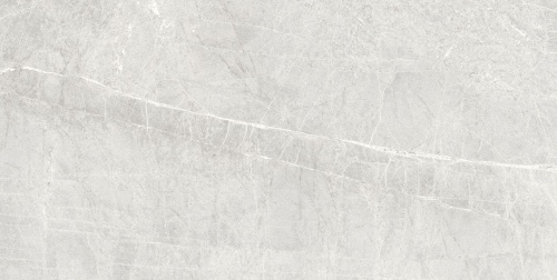  Persa Gris