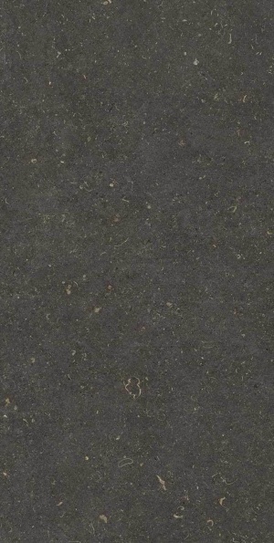  Vincen Anthracite