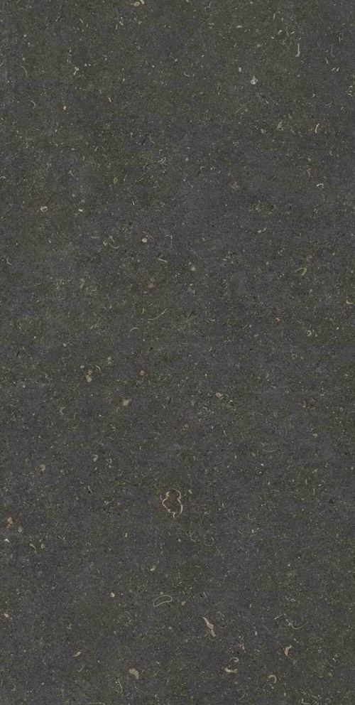  Vincen Anthracite