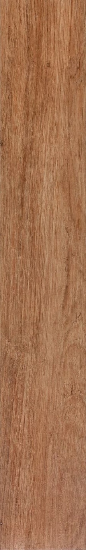  Alder Beige Rectified AOS4 BLOB