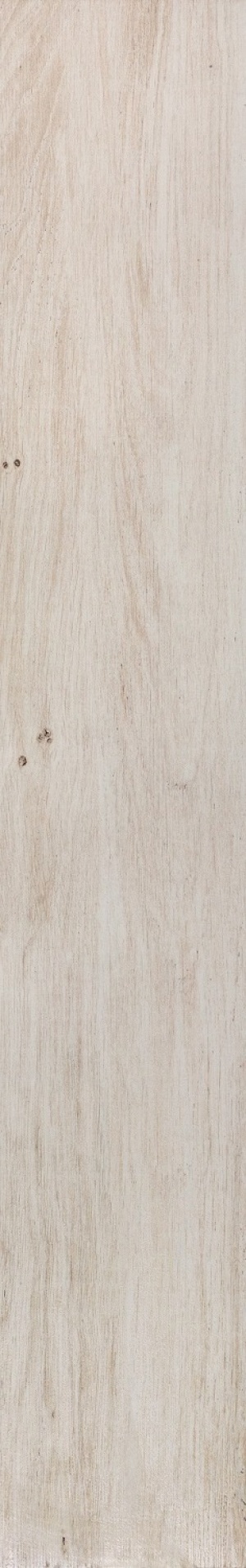  Alder Ivory Rectified A0S4 ADOB