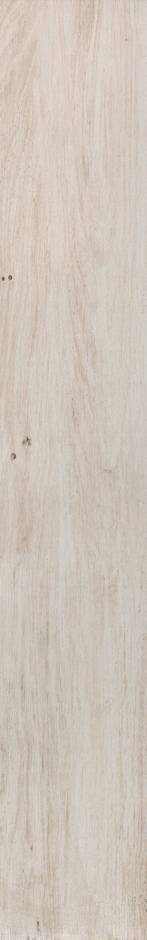  Alder Ivory Rectified A0S4 ADOB