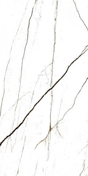  C2AA05T000D1SO Elegance White лаппатированный