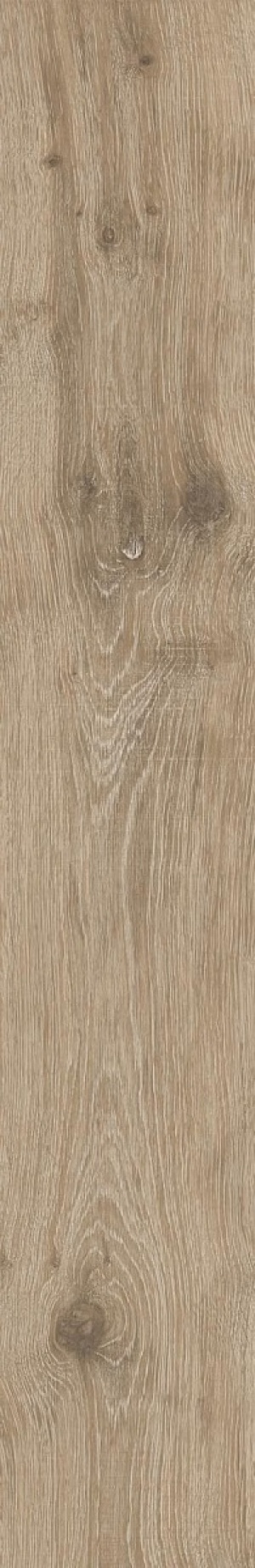  Madera Oliva