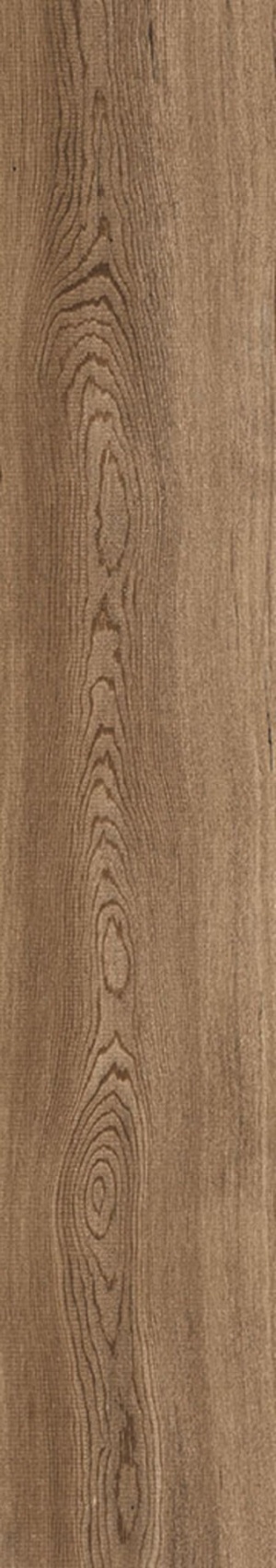  Lyptus Coffe