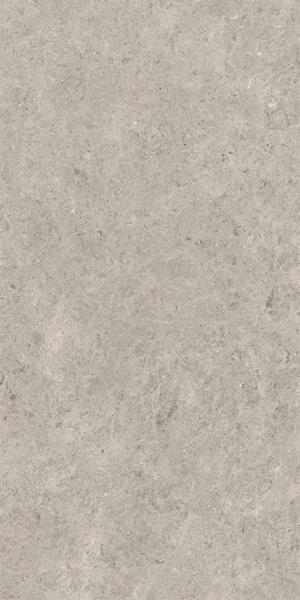  Seashell Natural R10 Carving