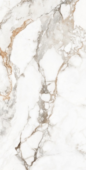  ROL83954 Calacatta Brisco Glossy