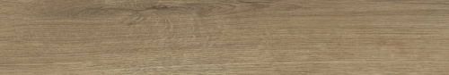  19JG29T Jungla Iroko