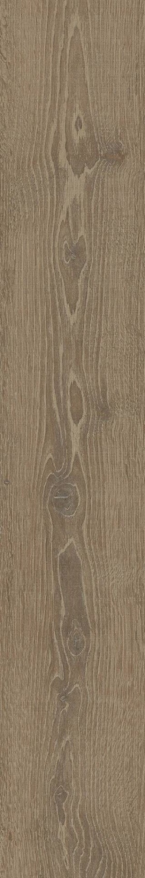  Oslo Iroko Natural