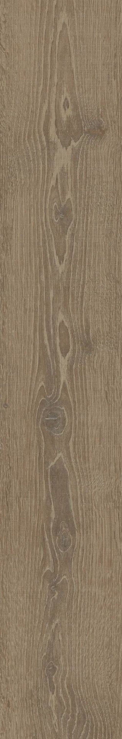  Oslo Iroko Natural