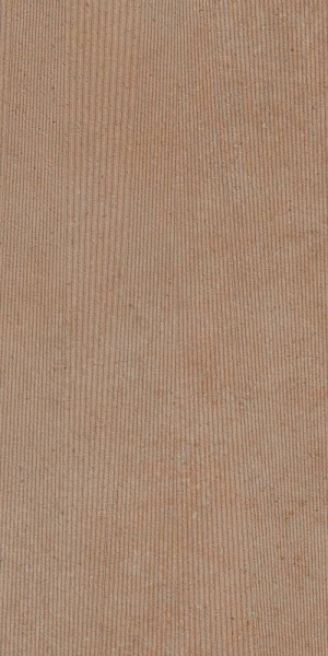  44NG219 Tasmania Tierra