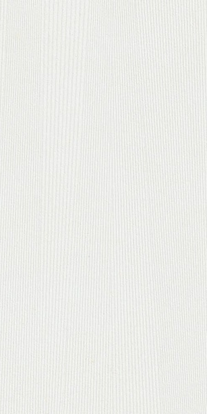  44NG419 Tasmania Blanco