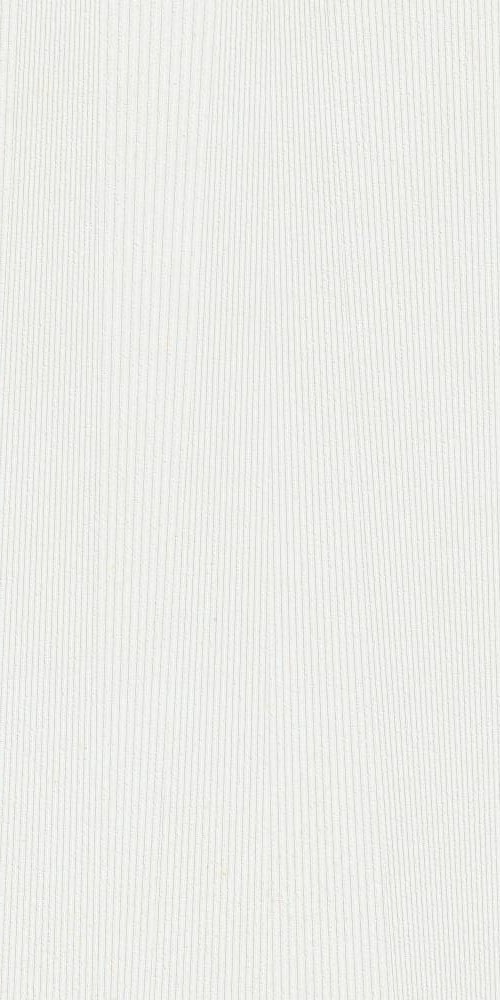  44NG419 Tasmania Blanco