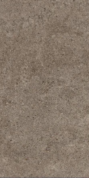  80PF24E Porfido Brown