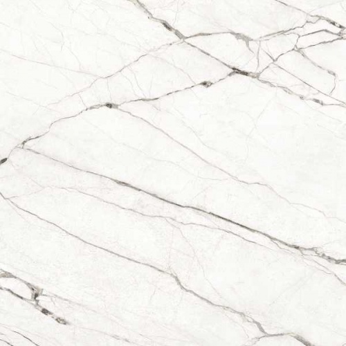 81V146R Volterra Blanco
