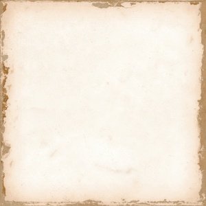  278029422 Casablanca White